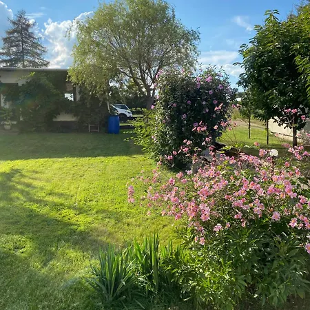 Sonnenterrasse Mit Grill Und Garten