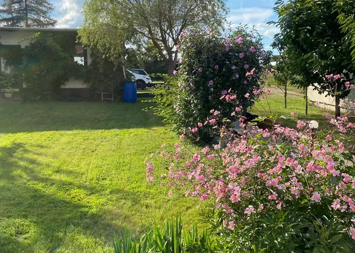 Sonnenterrasse Mit Grill